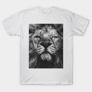 Lion T-Shirt